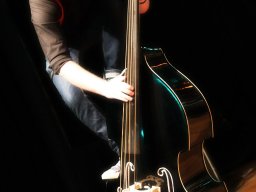 rockabilly 181